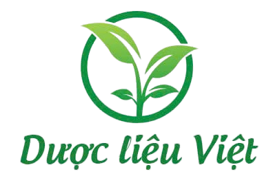 DƯỢC PHẨM VIỆT
